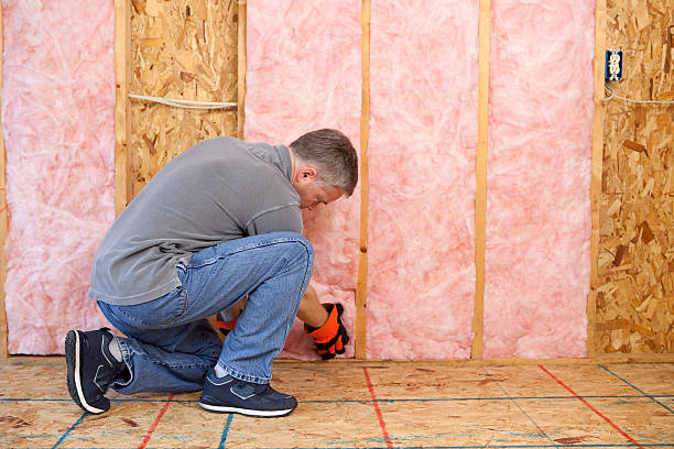 Best Insulation Installation Services in Brookhaven, MS